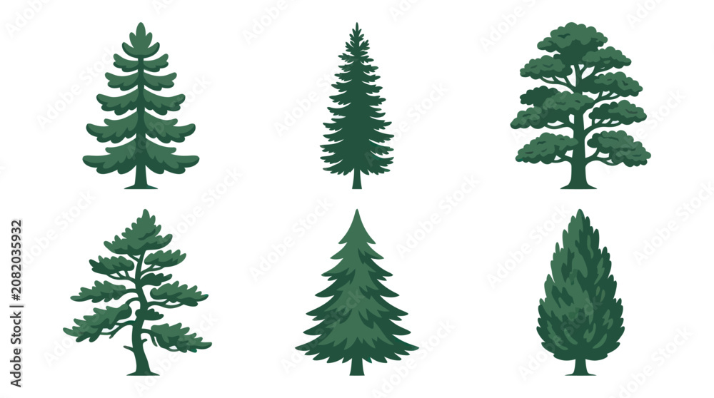 Obraz premium Assortment of evergreen trees
