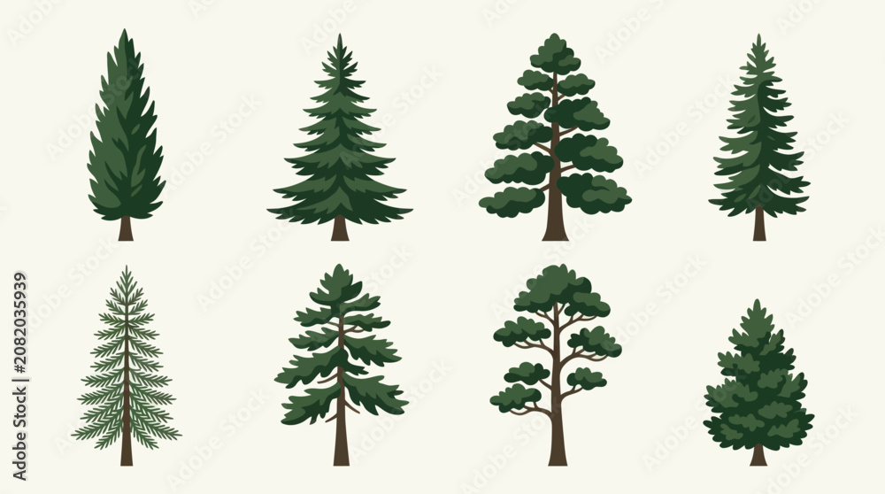 Obraz premium Assortment of evergreen trees