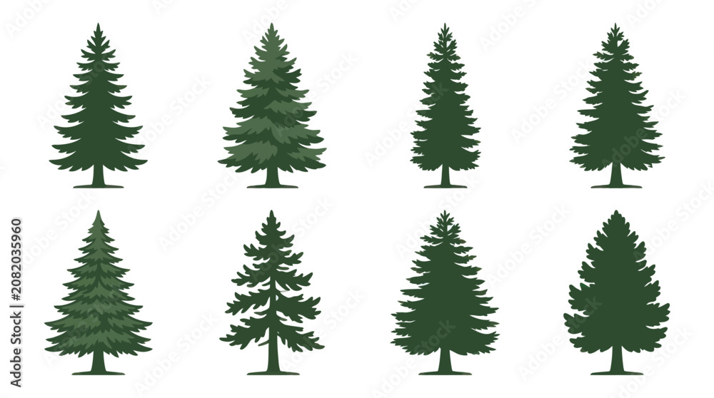 Obraz premium Assorted evergreen tree silhouettes