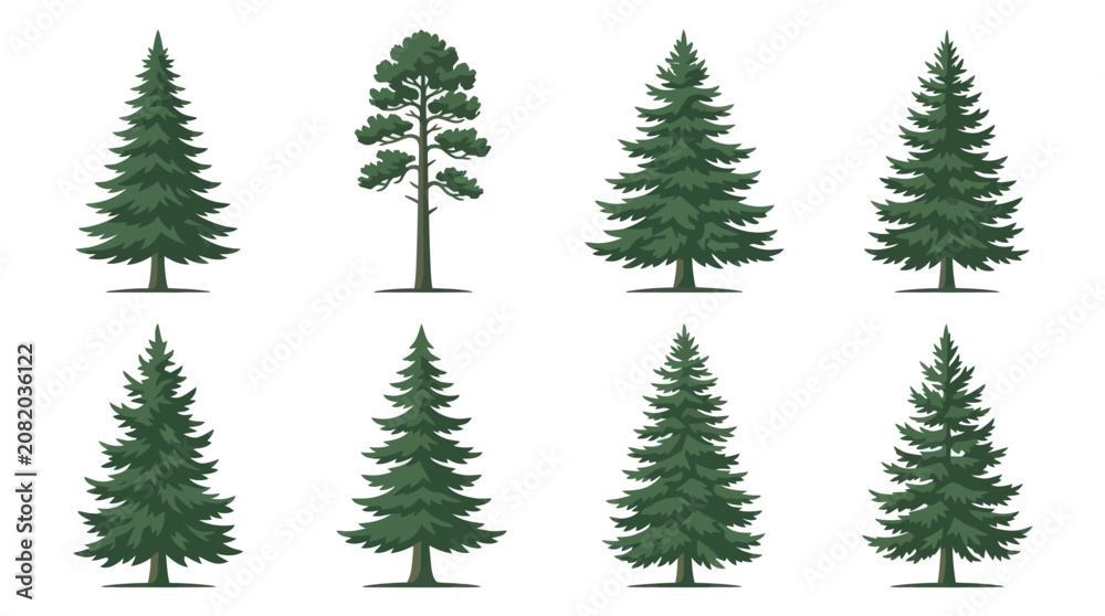 Obraz premium Collection of evergreen tree illustrations