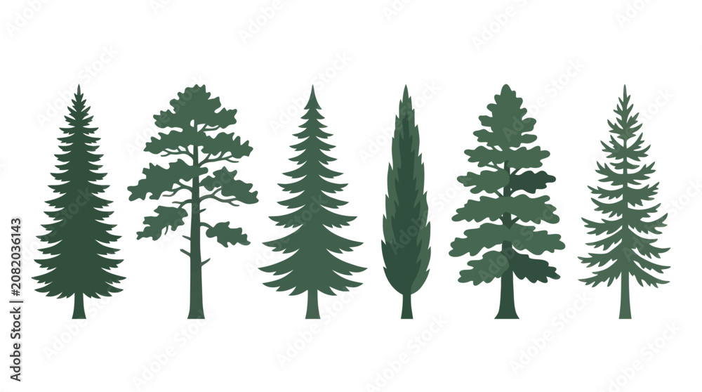 Obraz premium Assorted evergreen tree silhouettes