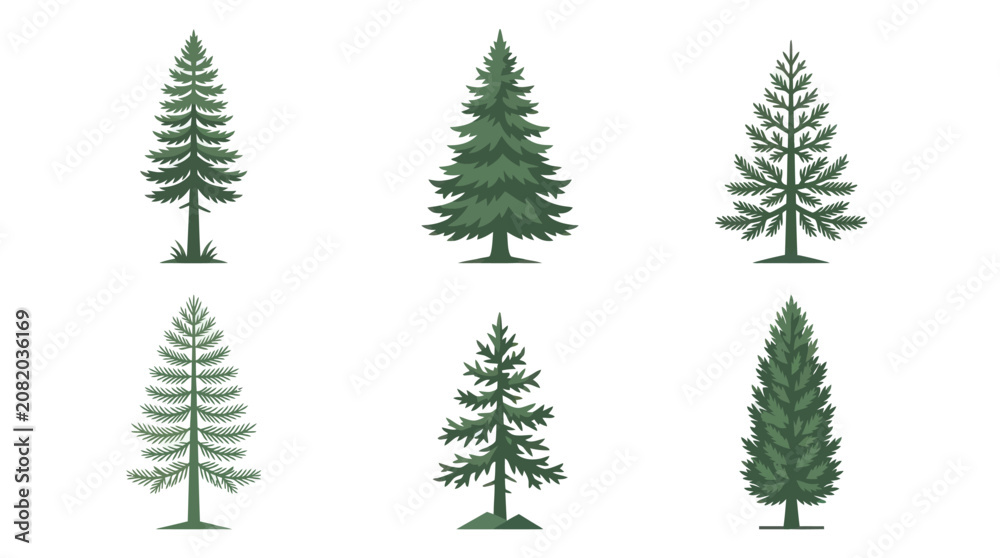 Fototapeta premium Collection of evergreen tree illustrations