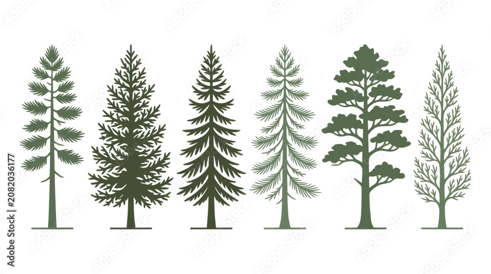 Obraz premium Assorted evergreen tree silhouettes