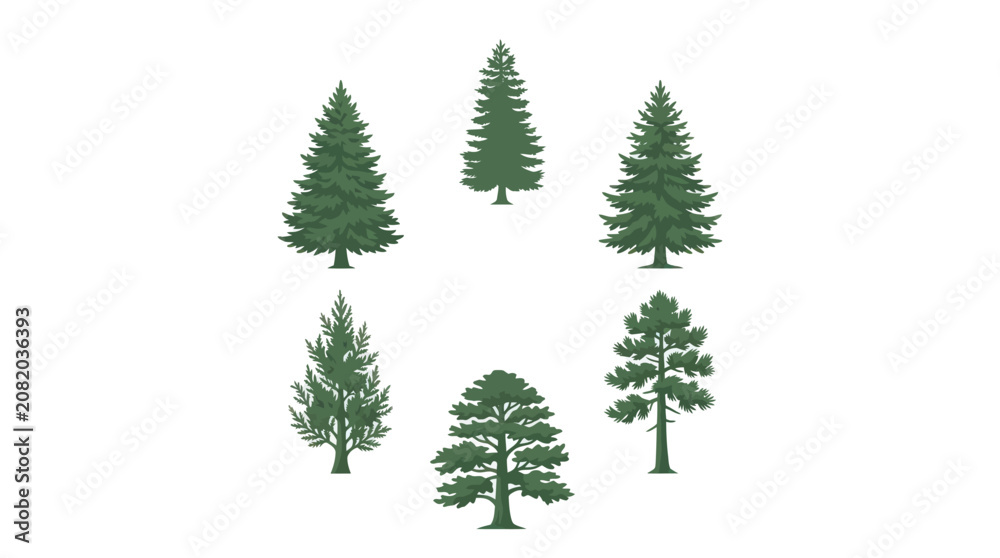 Obraz premium Assorted evergreen trees collection