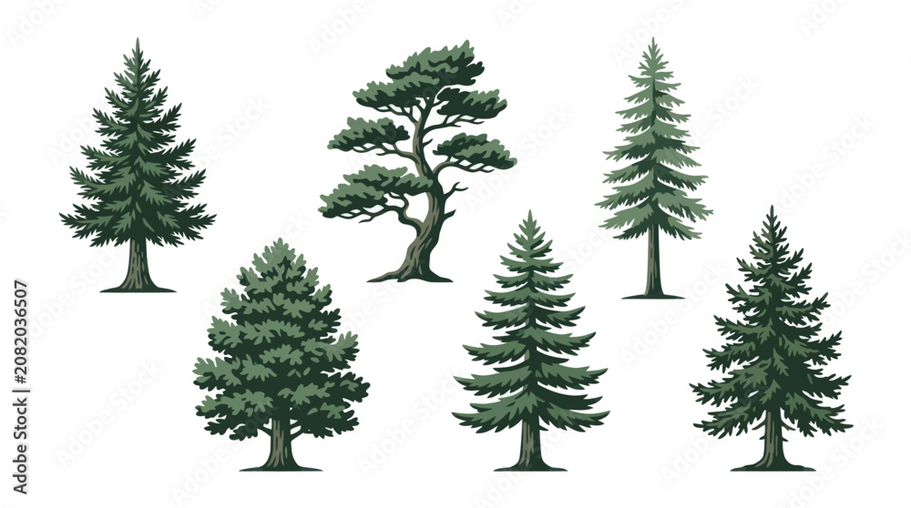 Obraz premium Assortment of evergreen trees illustration