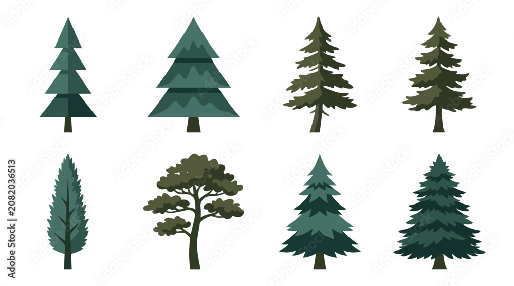 Obraz premium Collection of evergreen tree illustrations