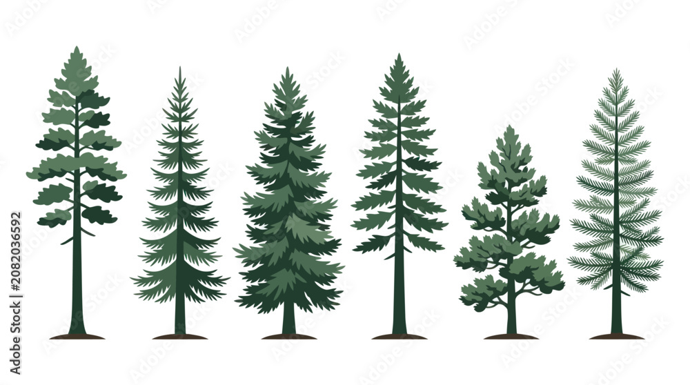 Fototapeta premium Collection of evergreen tree silhouettes