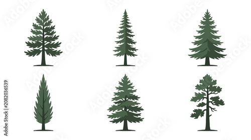 Cuadro en lienzo Assorted evergreen trees collection