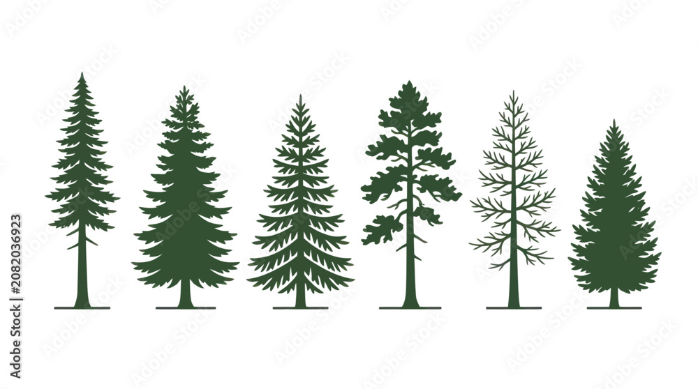 Obraz premium Collection of evergreen tree silhouettes