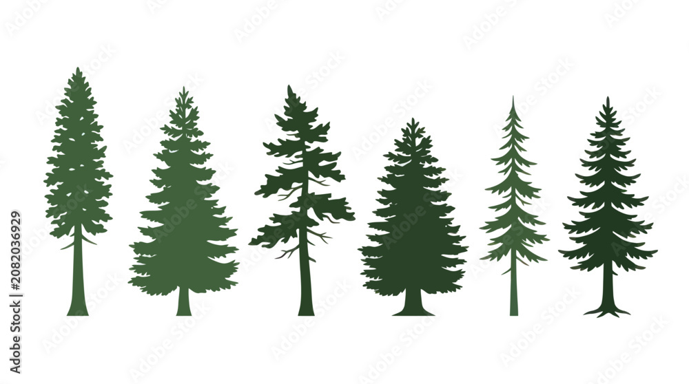Obraz premium Collection of evergreen tree silhouettes