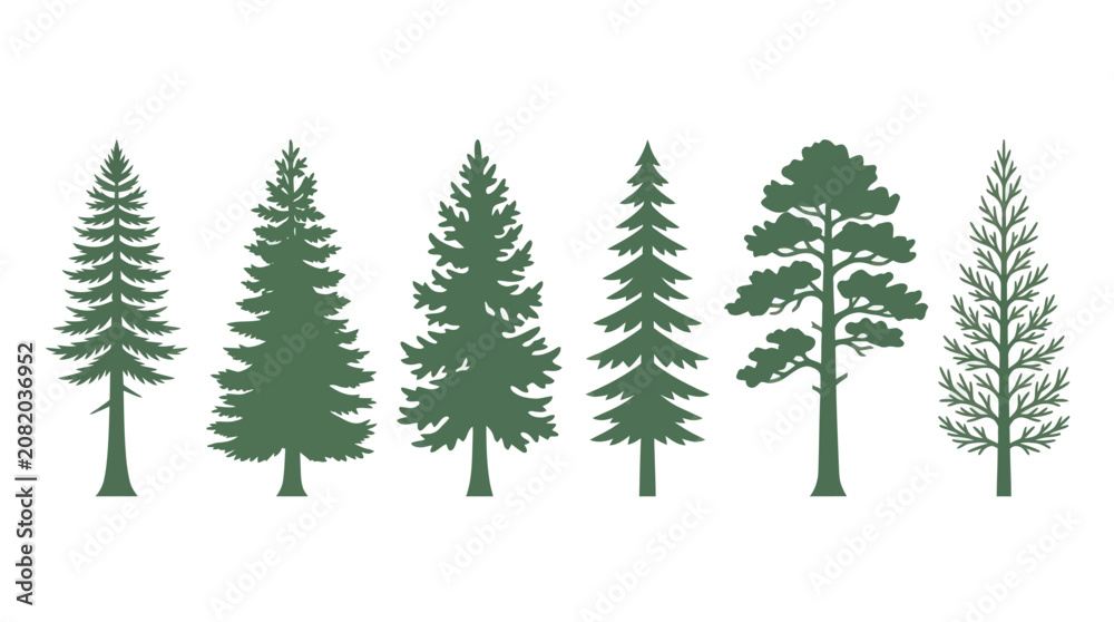 Obraz premium Collection of evergreen tree silhouettes