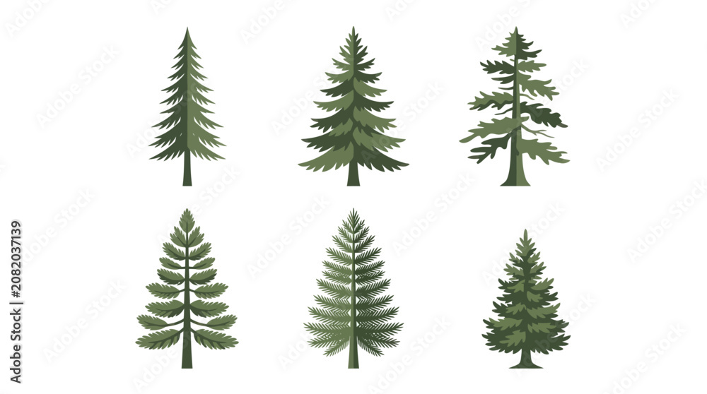 Obraz premium Collection of evergreen tree illustrations