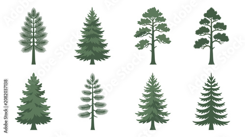 Collection of evergreen tree illustrations