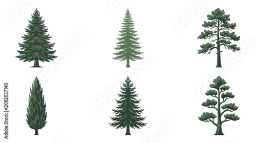 Collection of evergreen tree illustrations