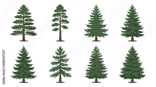 Collection of evergreen tree illustrations