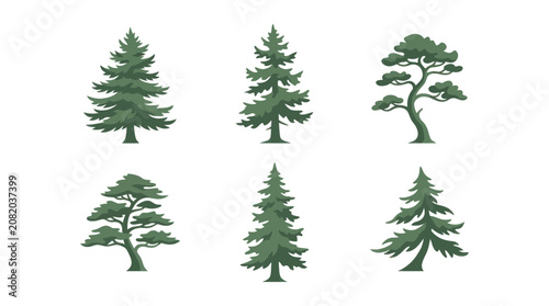 Collection of evergreen tree illustrations