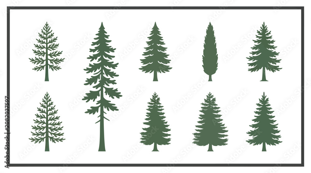 Obraz premium Collection of evergreen tree silhouettes