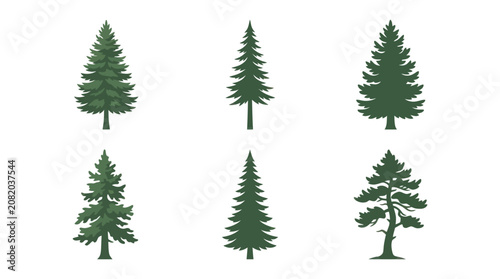 Collection of evergreen tree illustrations