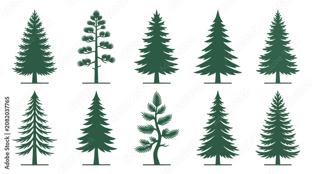 Obraz premium Collection of evergreen tree silhouettes