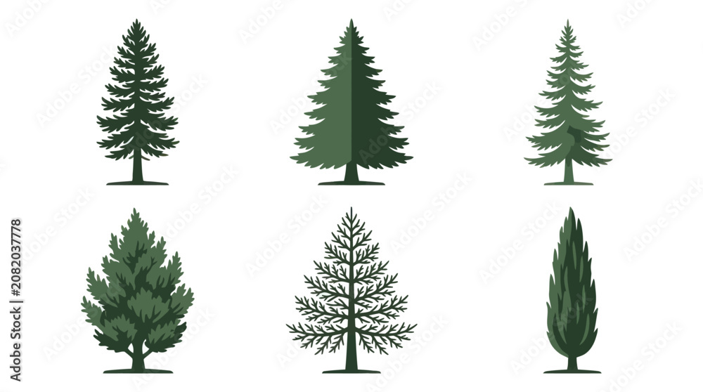 Obraz premium Collection of evergreen tree illustrations