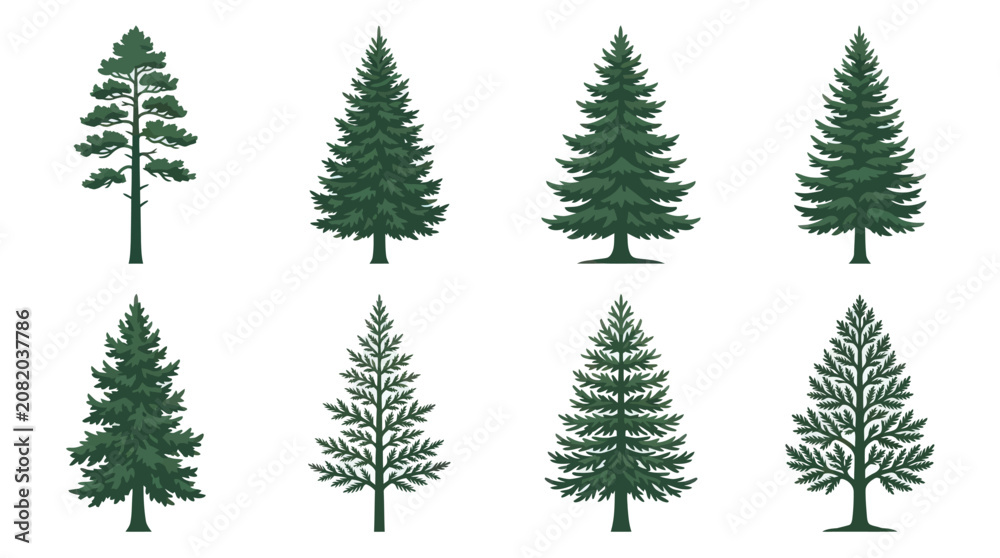 Obraz premium Collection of evergreen tree silhouettes