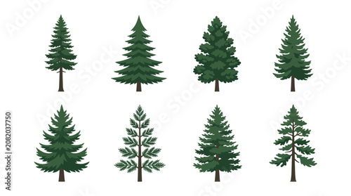 Collection of evergreen tree illustrations