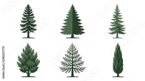 Collection of evergreen tree illustrations