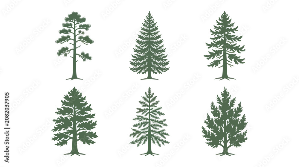 Obraz premium Collection of evergreen tree silhouettes