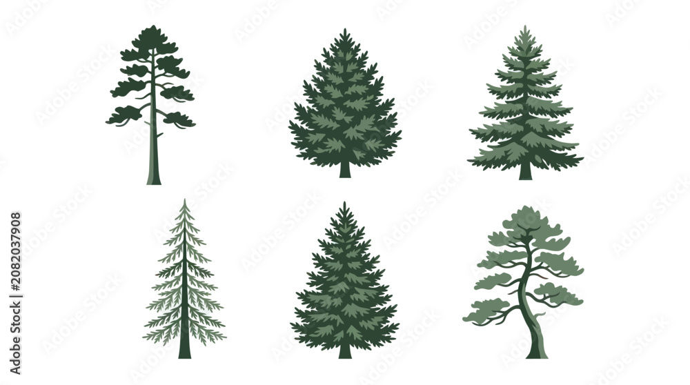 Obraz premium Collection of coniferous tree icons