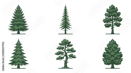 Collection of evergreen tree illustrations