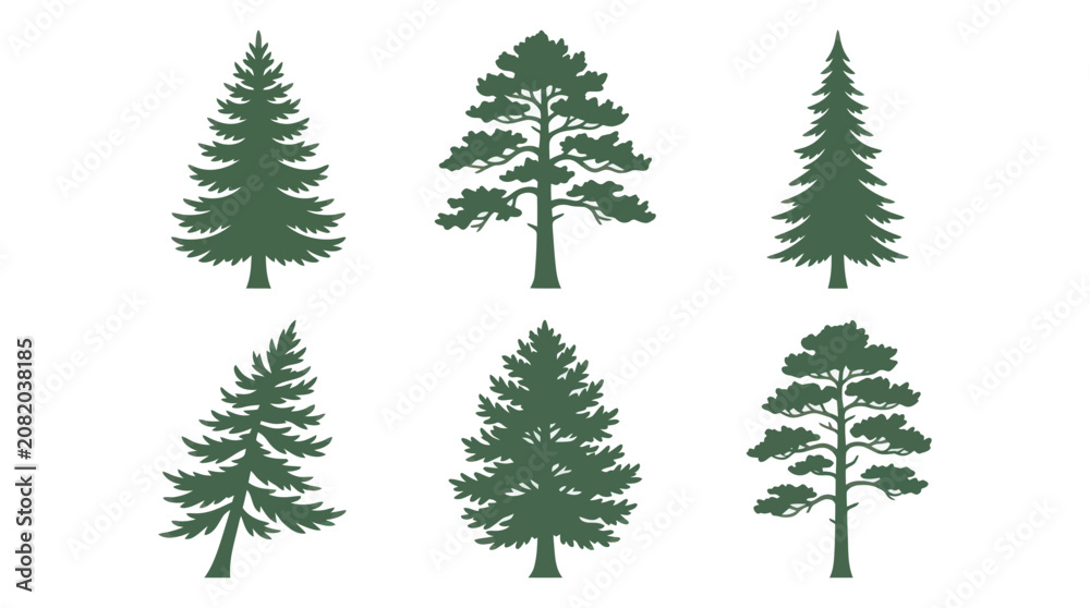 Obraz premium Collection of evergreen tree silhouettes