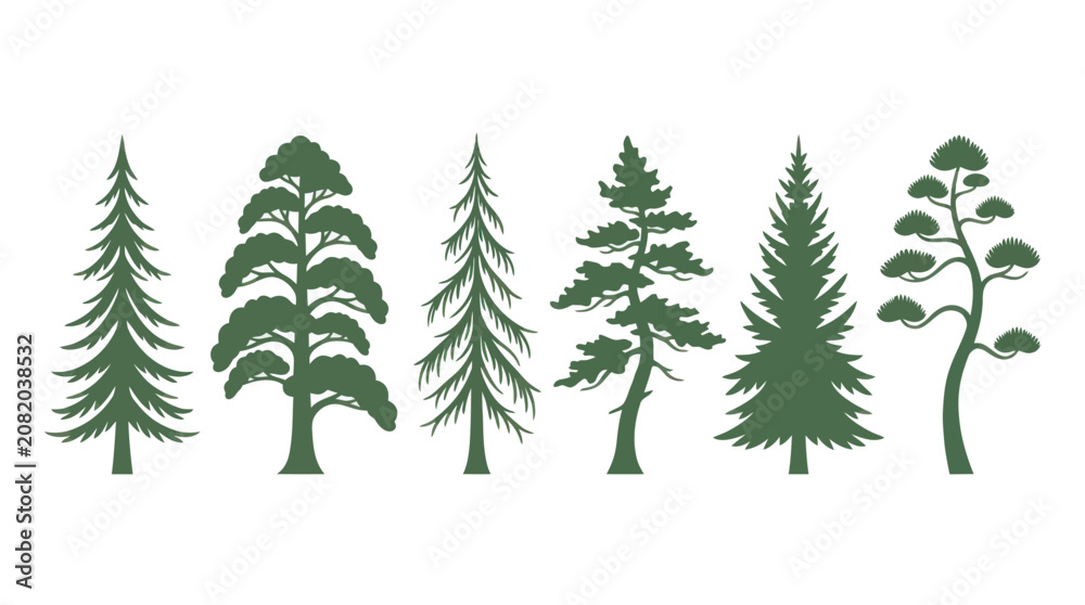Obraz premium Collection of evergreen tree silhouettes