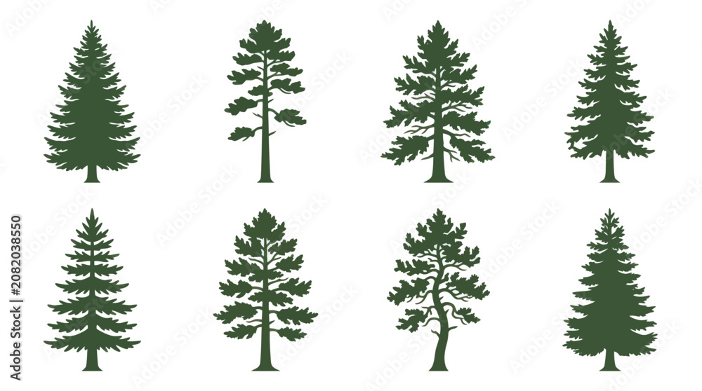Obraz premium Collection of evergreen tree silhouettes