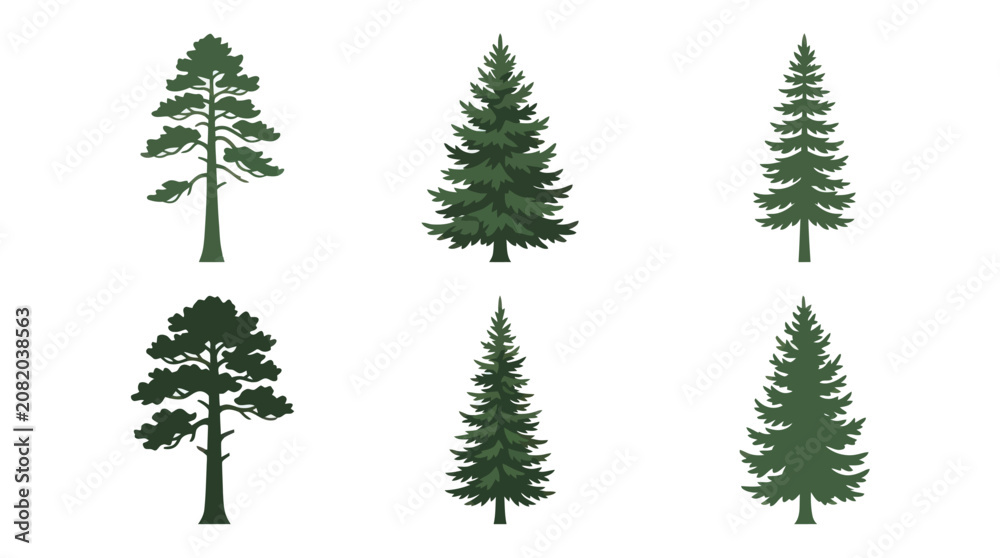 Obraz premium Collection of evergreen tree silhouettes