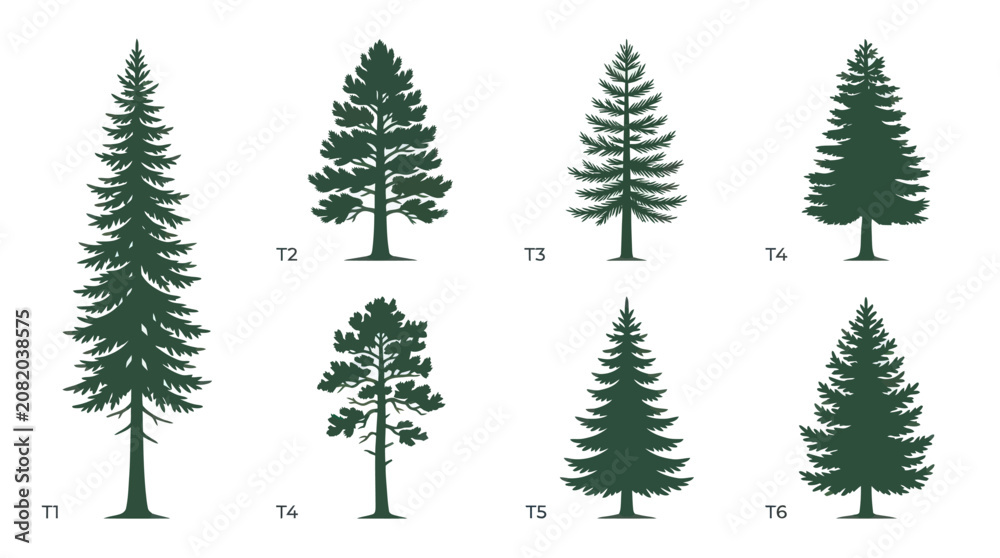 Obraz premium Collection of evergreen tree silhouettes