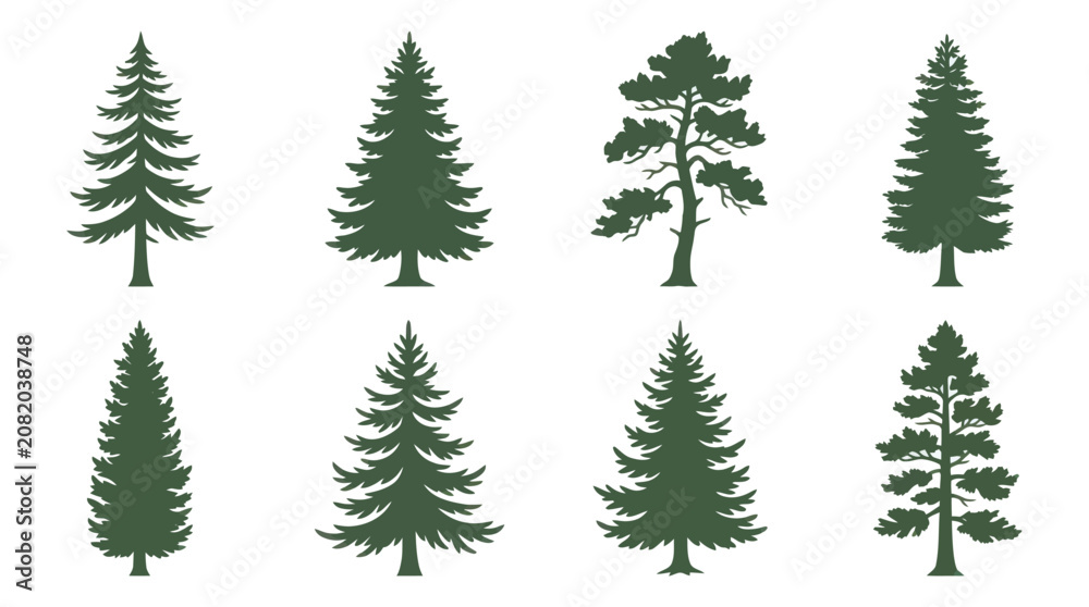 Obraz premium Collection of evergreen tree silhouettes