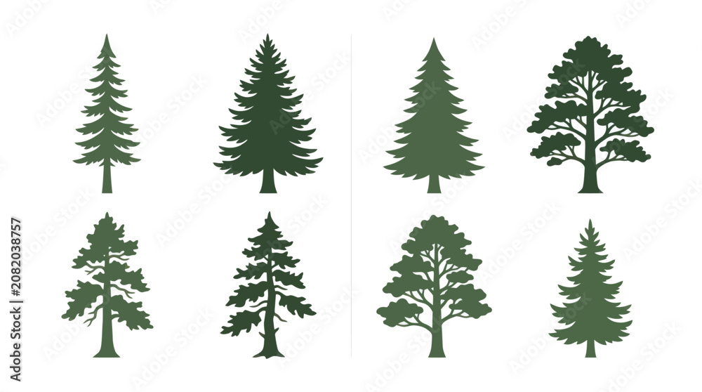 Fototapeta premium Collection of evergreen tree silhouettes