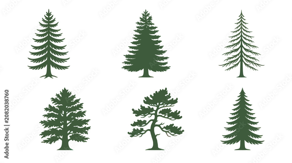 Obraz premium Collection of evergreen tree silhouettes