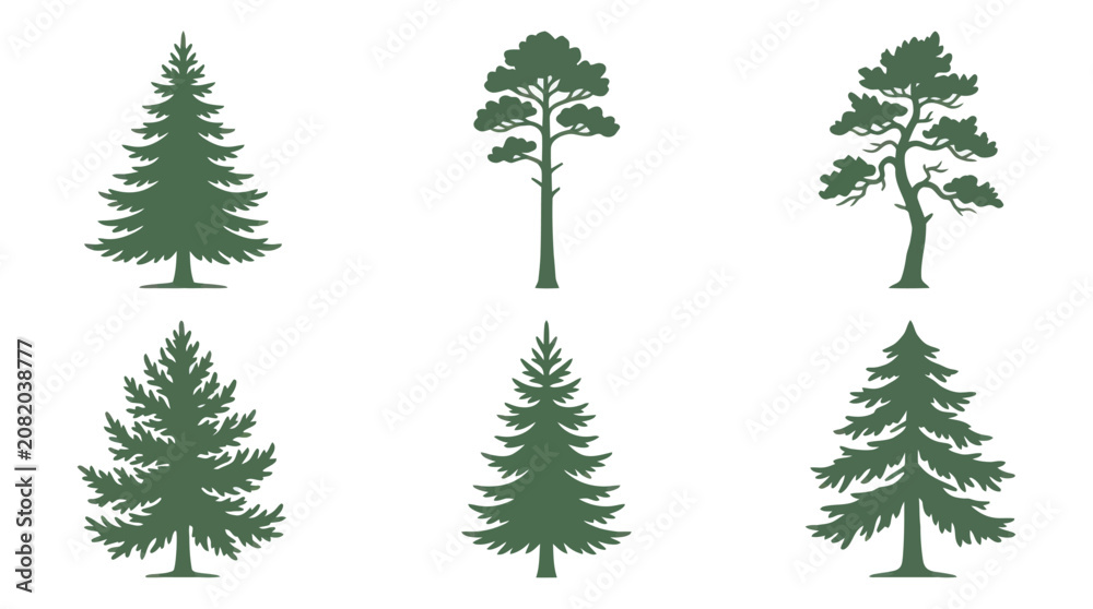 Fototapeta premium Collection of evergreen tree silhouettes