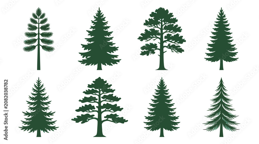 Fototapeta premium Collection of evergreen tree silhouettes