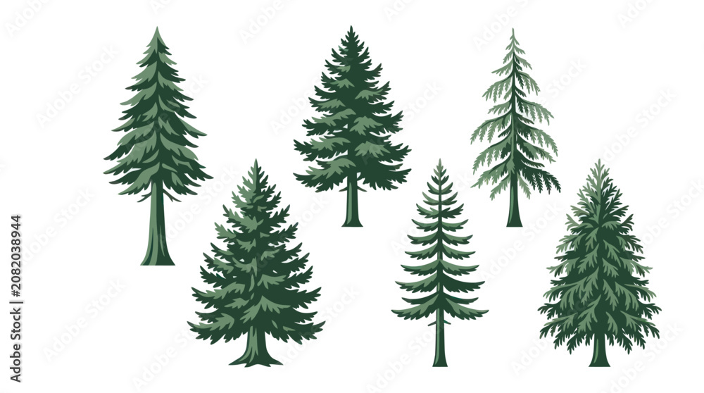 Obraz premium Collection of evergreen trees