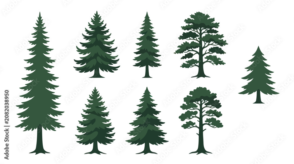 Fototapeta premium Collection of evergreen tree silhouettes