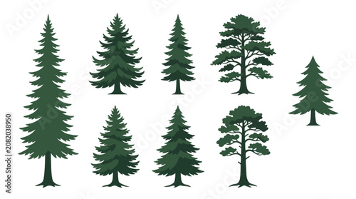 Fotografía Collection of evergreen tree silhouettes