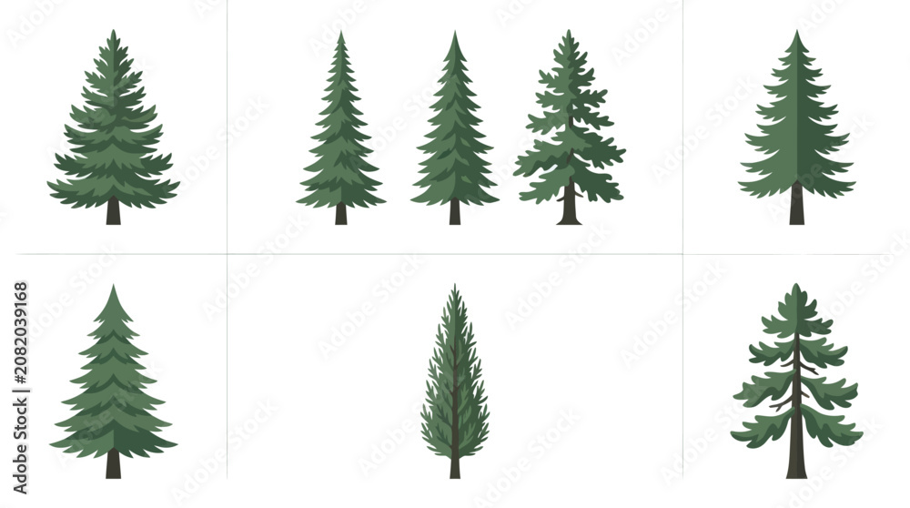 Obraz premium Collection of evergreen trees