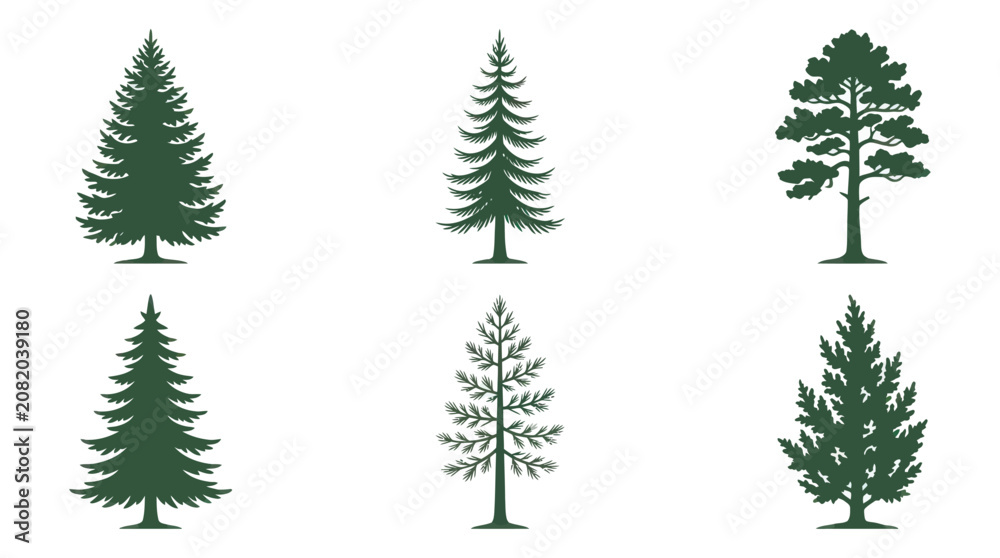 Obraz premium Collection of evergreen tree silhouettes