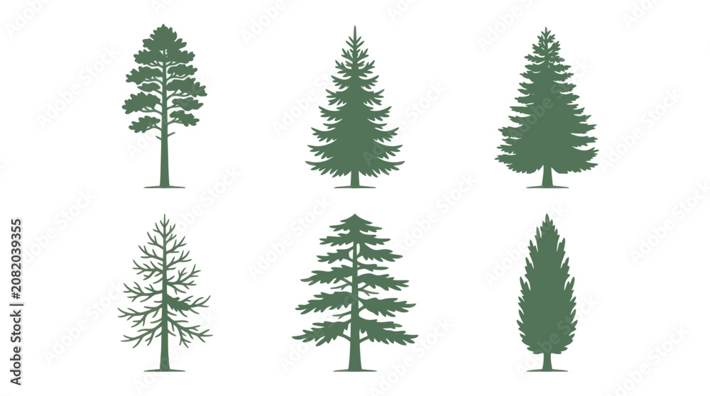 Fototapeta premium Collection of evergreen tree silhouettes