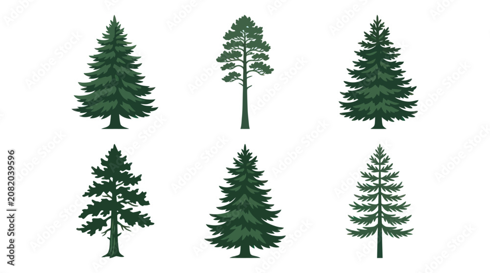 Obraz premium Collection of evergreen trees