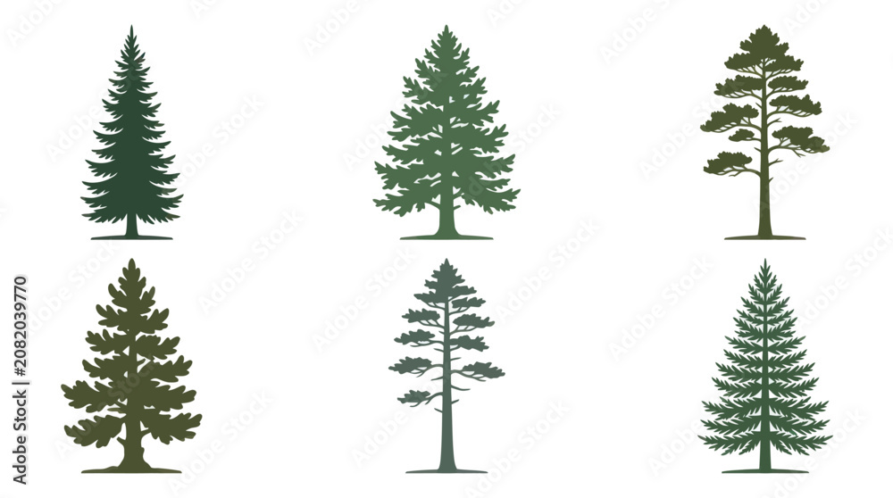Obraz premium Collection of evergreen tree silhouettes