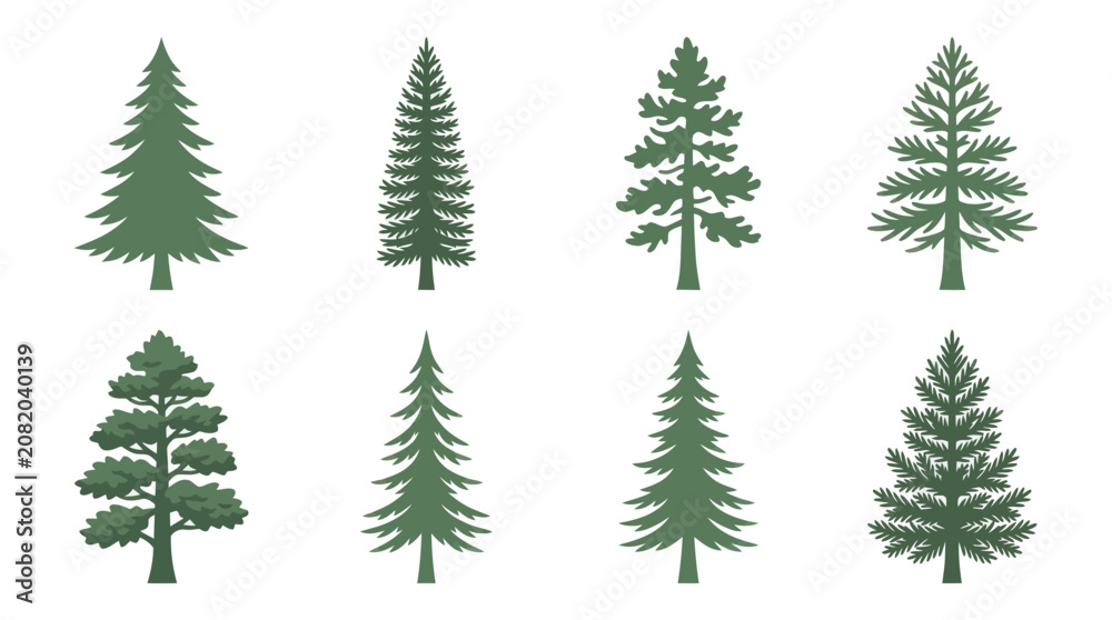 Fototapeta premium Collection of evergreen tree silhouettes