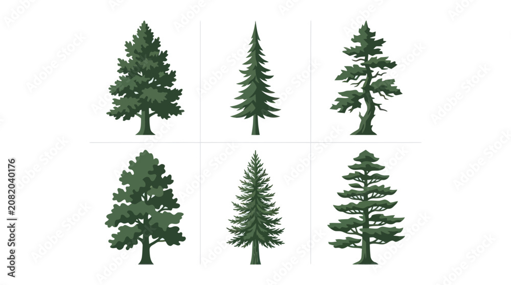Obraz premium Collection of evergreen trees